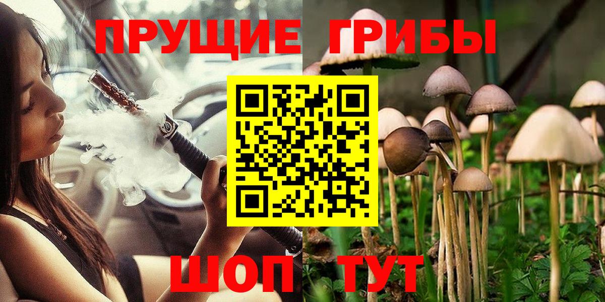 Галлюциногенные грибы прущие грибы Санкт-Петербург